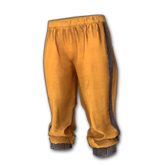 Icon equipment Legs Work Pants.png