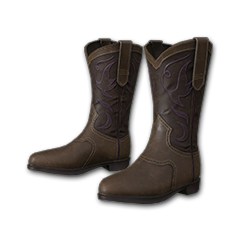 Icon equipment Feet Cowboy Boots.png