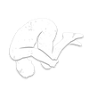 Icon Emote Victory Dance (v2).png