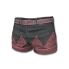 Icon equipment Pants thz tv's Champion Shorts.png