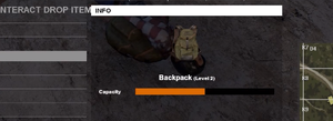 Backpack lv 2.png