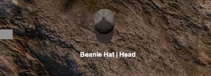 Beanie hat.png